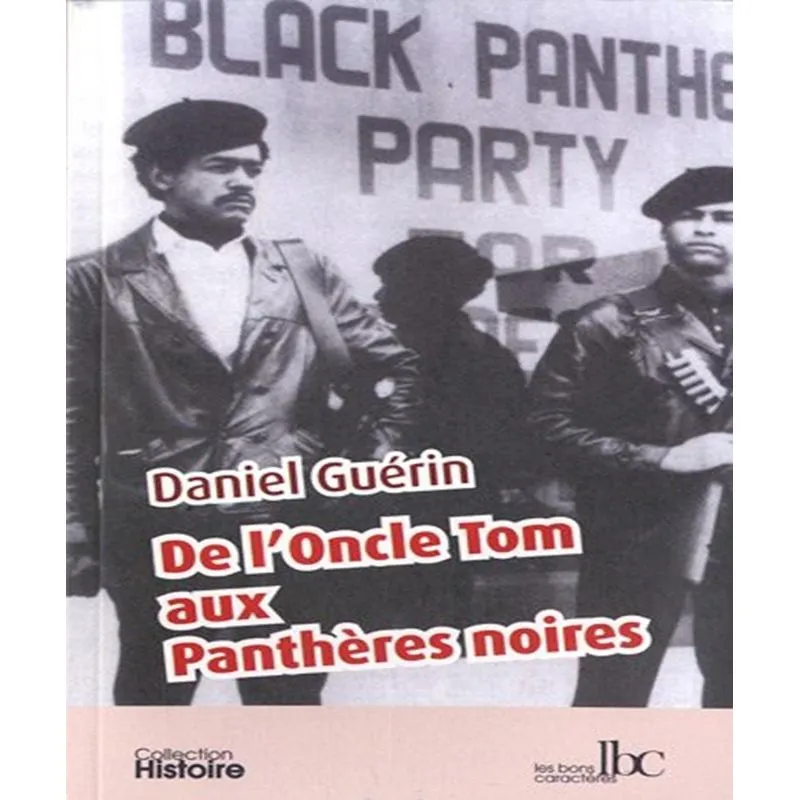 De Loncle Tom Aux Panthères Noires