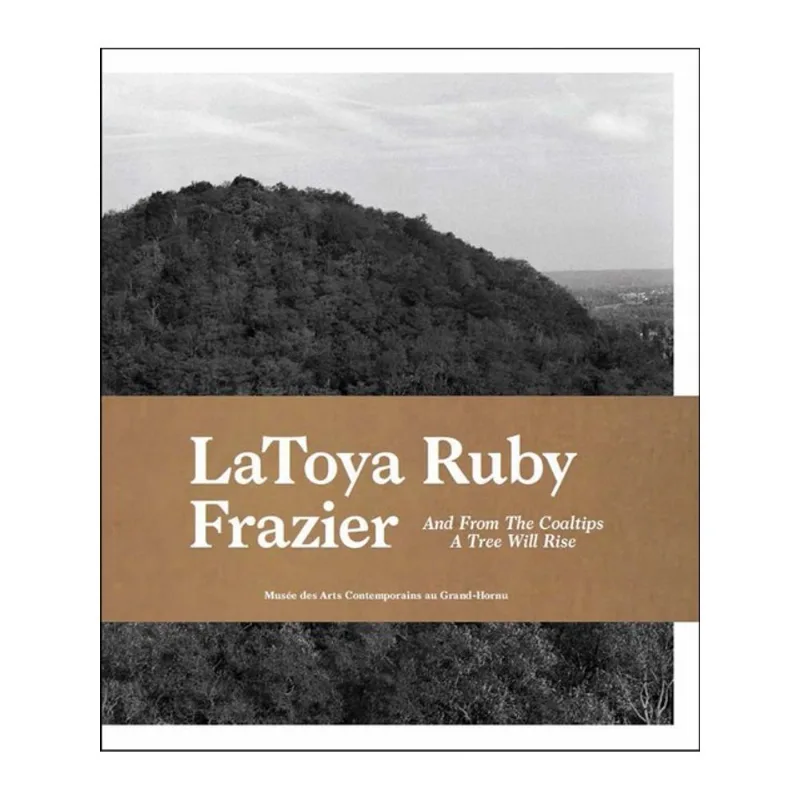 LATOYA RUBY FRAZIER