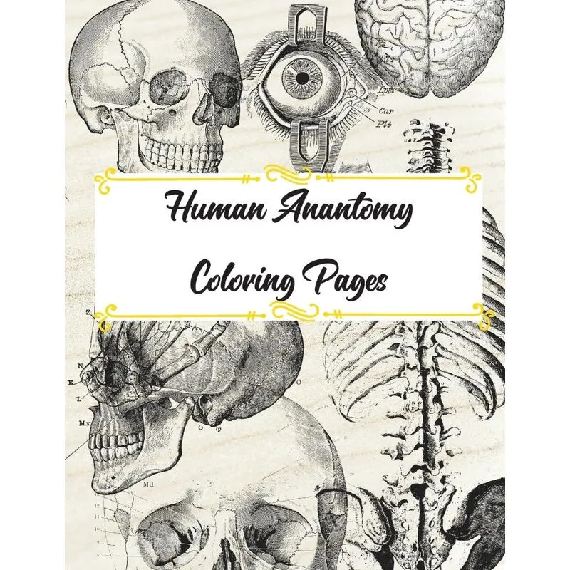 Human Anatomy Coloring Pages