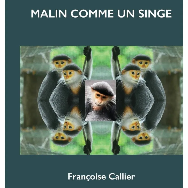 MALIN COMME UN SINGE