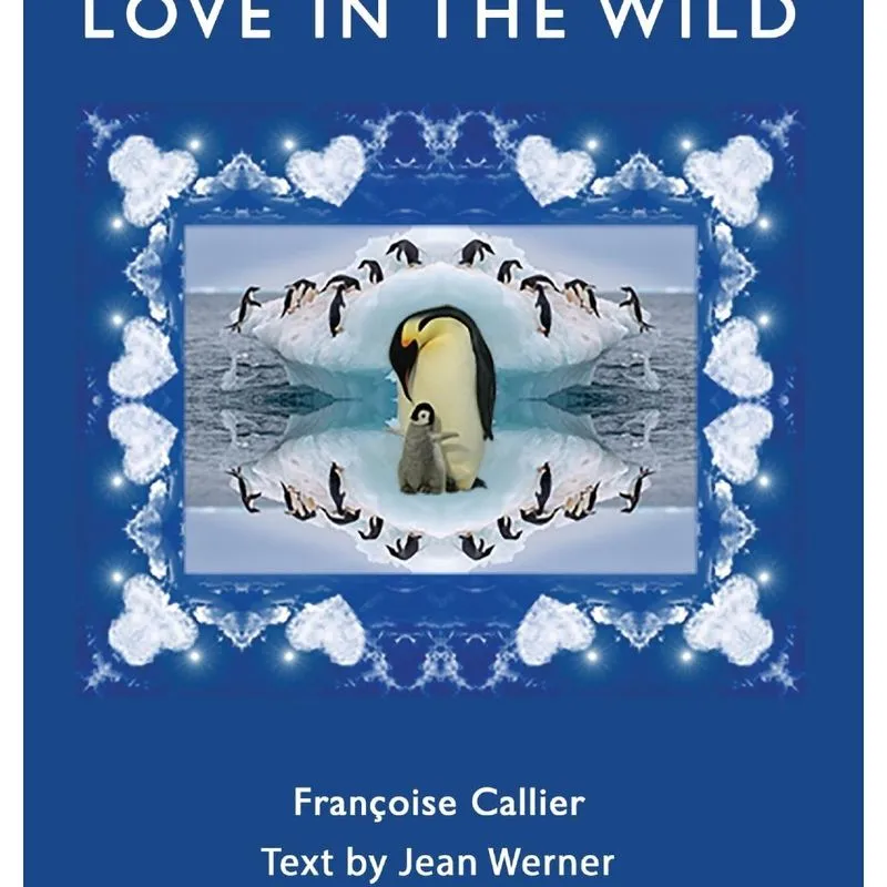 LOVE in the WILD
