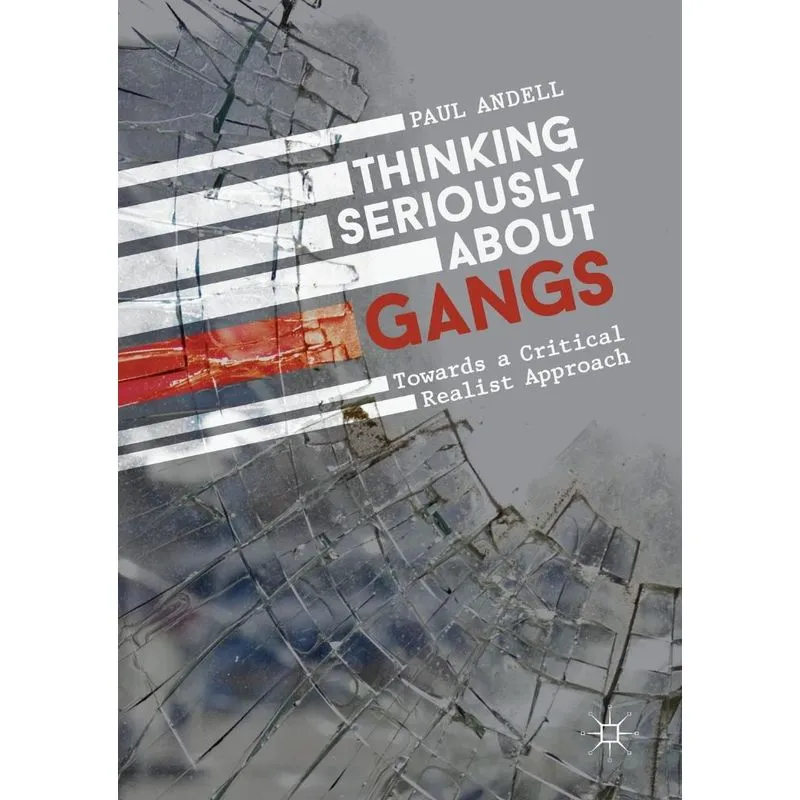 Thinking Seriously About Gangs