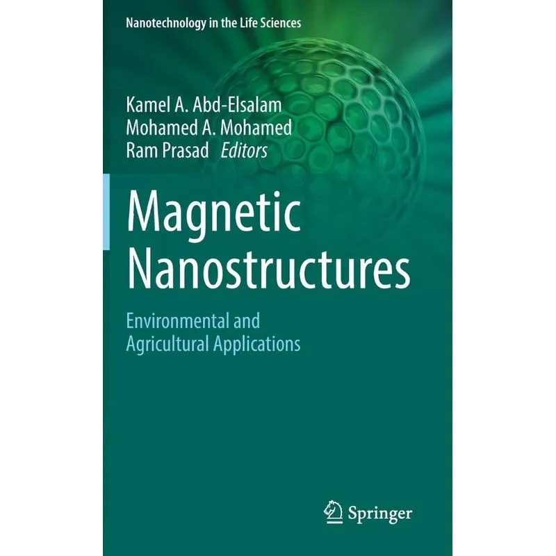 Magnetic Nanostructures