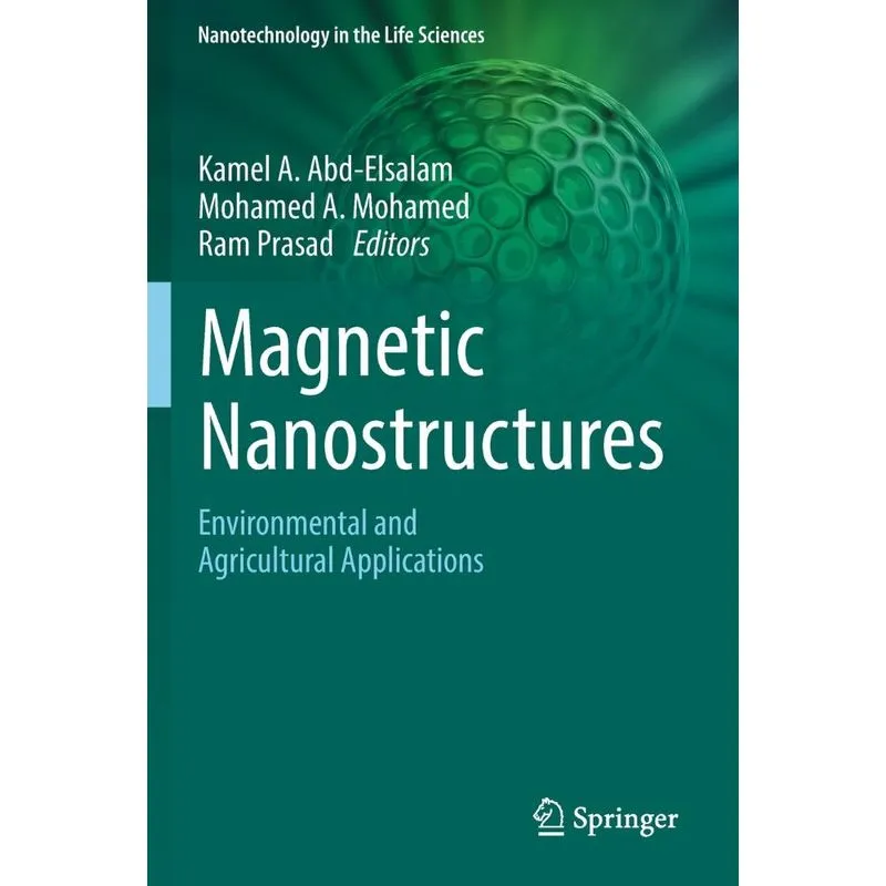 Magnetic Nanostructures