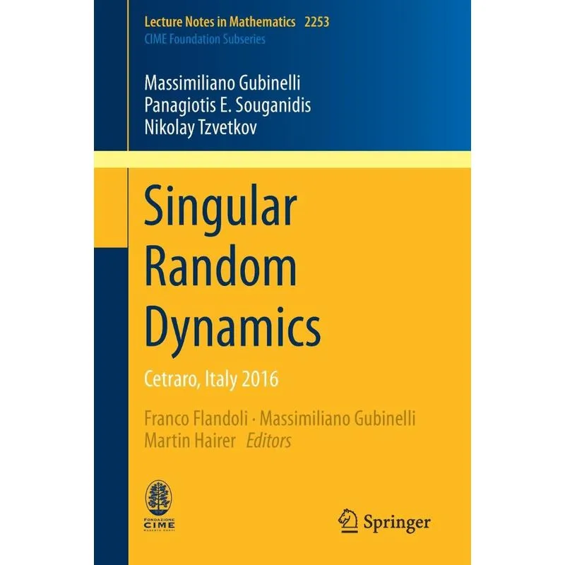 Singular Random Dynamics