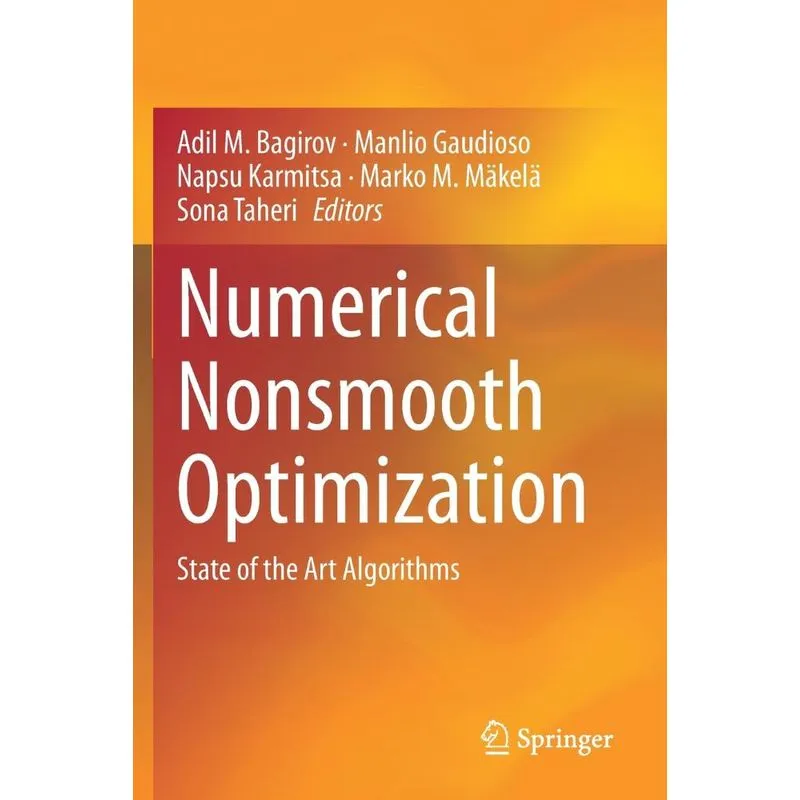 Numerical Nonsmooth Optimization