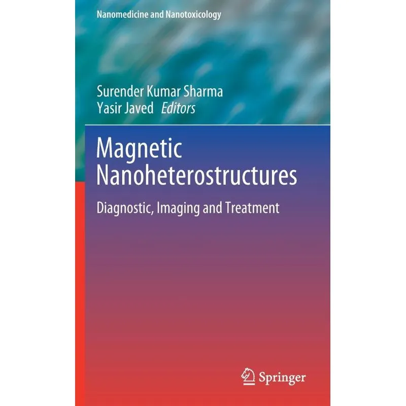 Magnetic Nanoheterostructures