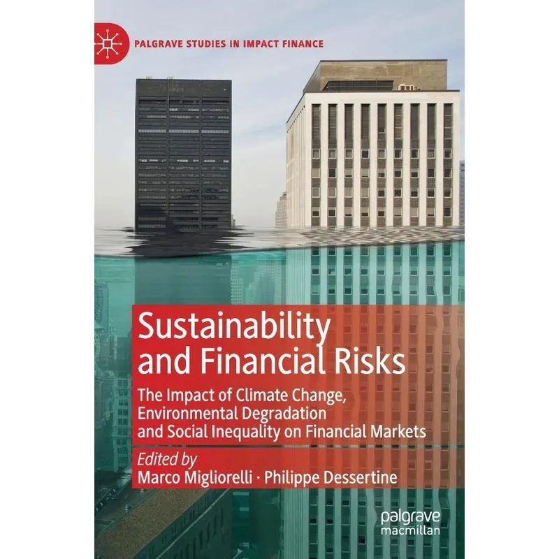 Sustainability and Financial Risks