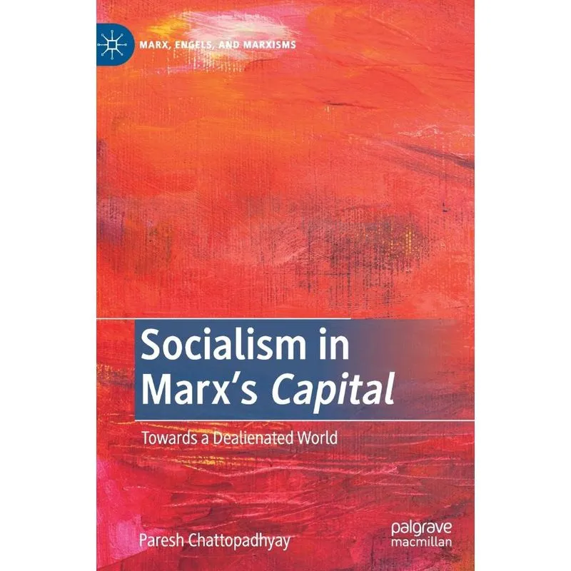 Socialism in Marxs Capital