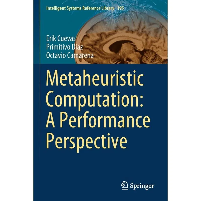 Metaheuristic Computation