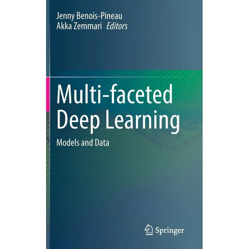 Multi-faceted Deep Learning