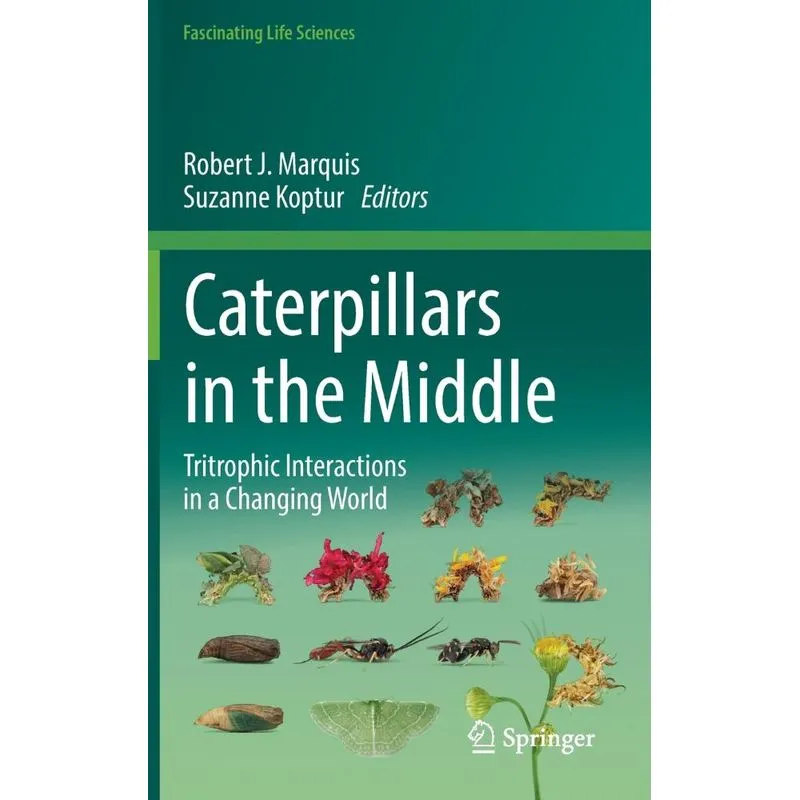 Caterpillars In The Middle