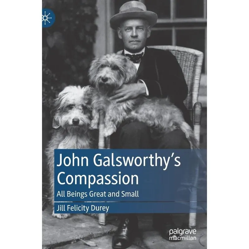 John Galsworthys Compassion