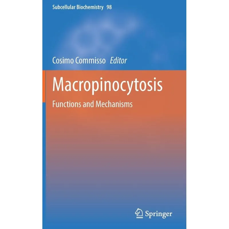 Macropinocytosis