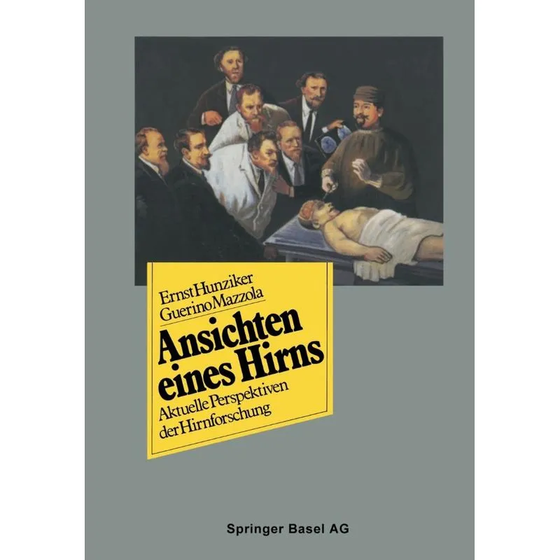 Ansichten eines Hirns