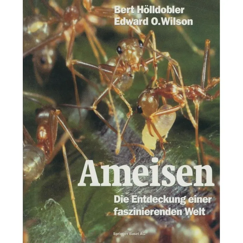 Ameisen
