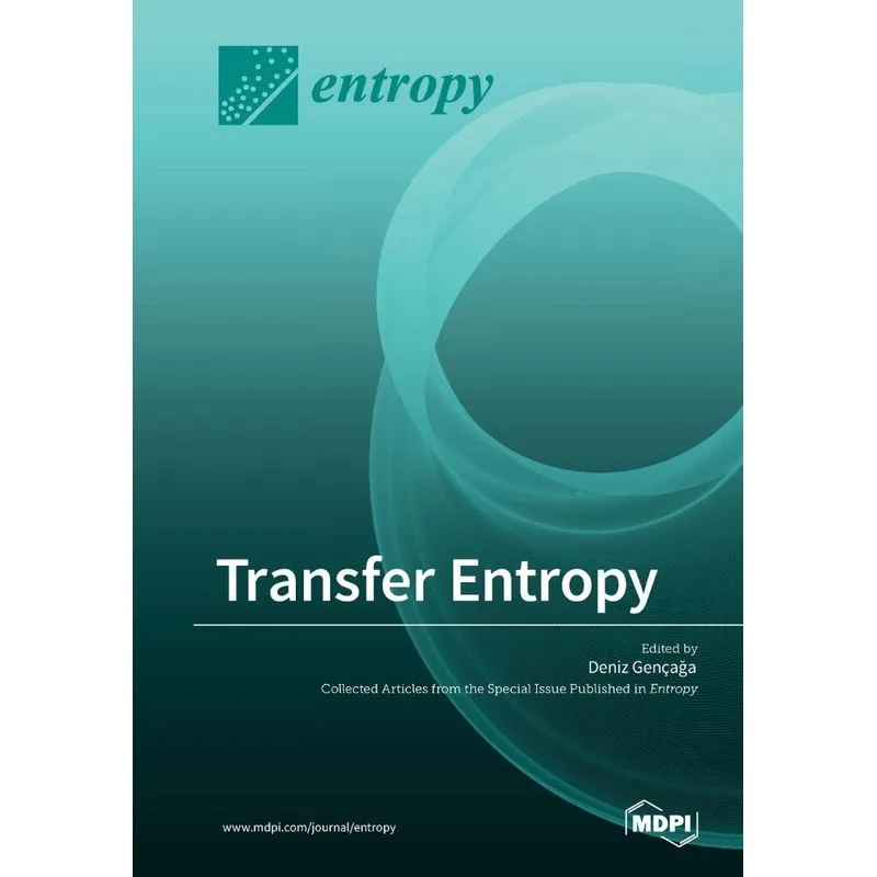 Transfer Entropy