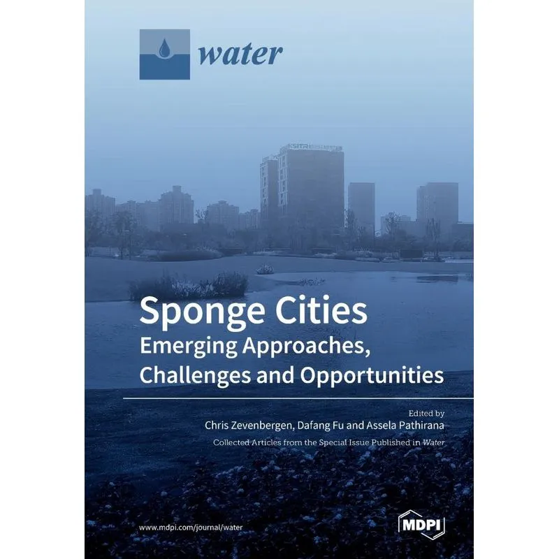 Sponge Cities