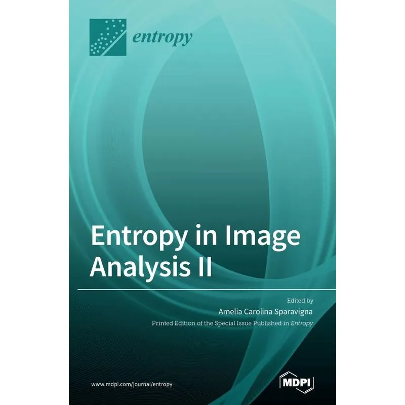 Entropy in Image Analysis II