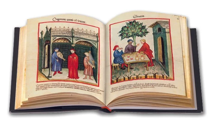 Tacuinum Sanitatis in Medicina