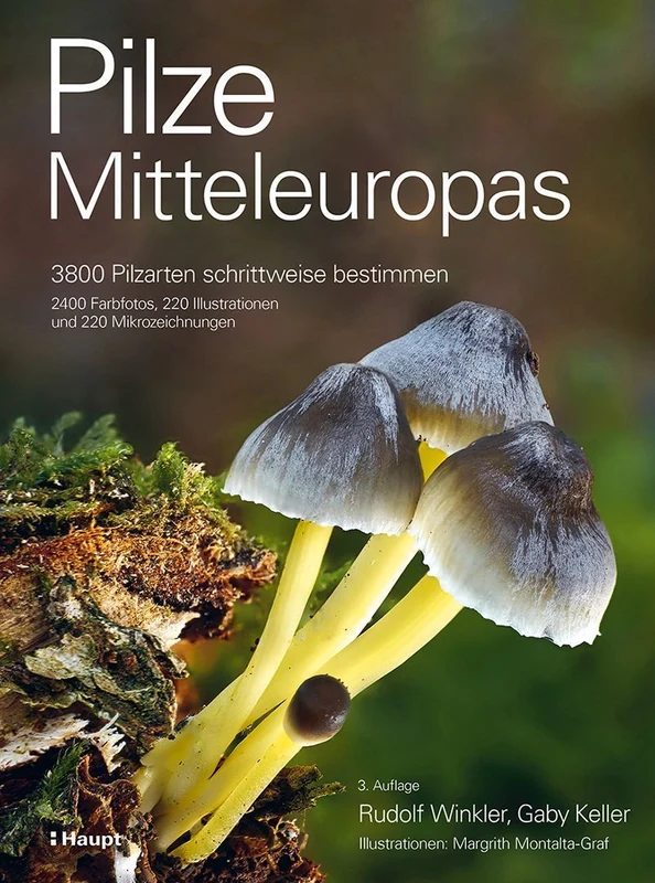 Pilze Mitteleuropas