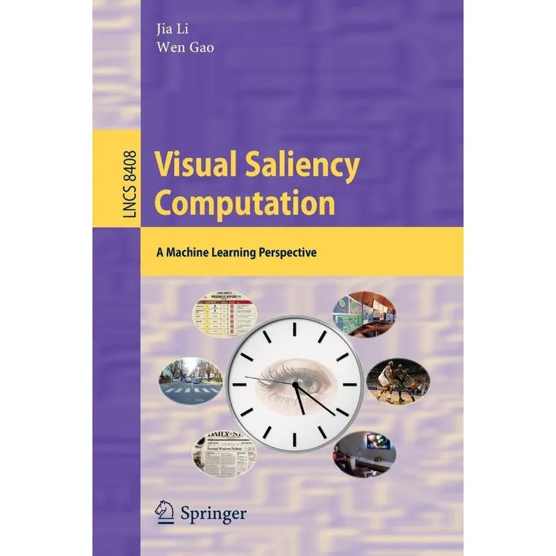Visual Saliency Computation
