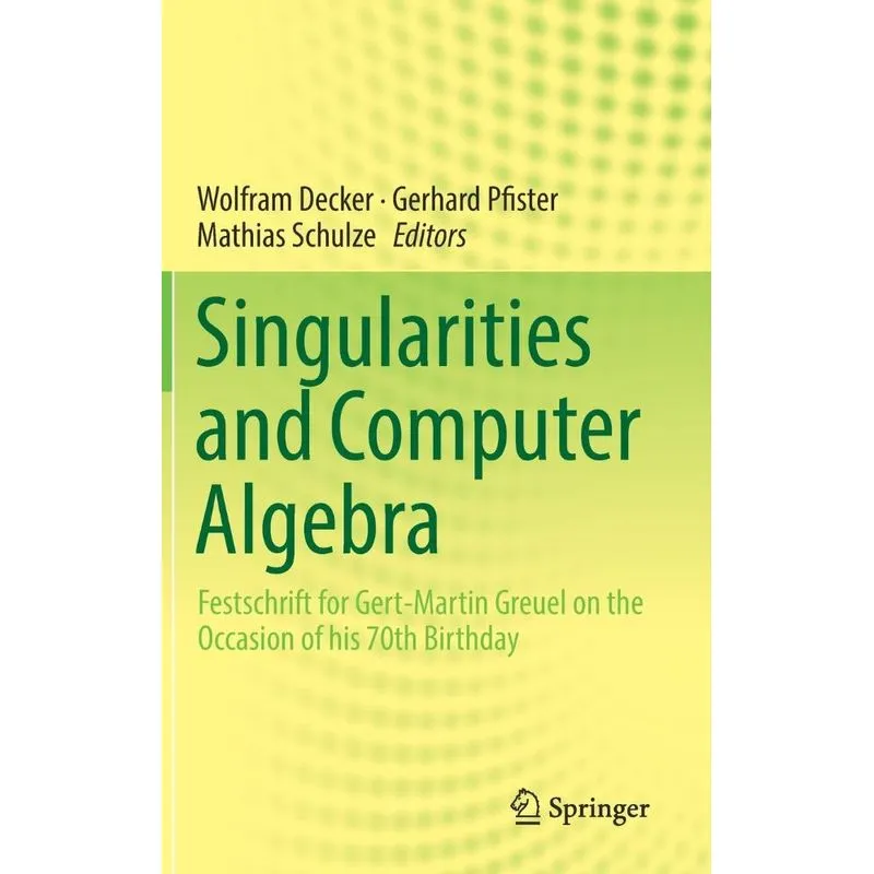 Singularities and Computer Algebra