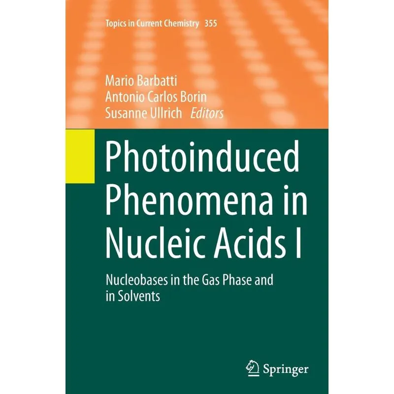 PHOTOINDUCED PHENOMENA IN NUCLEIC ACIDS I