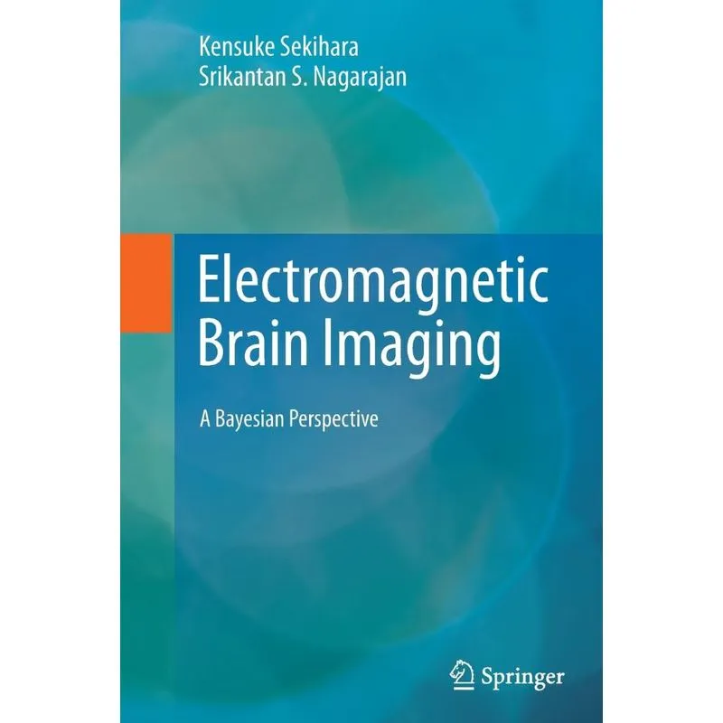 Electromagnetic Brain Imaging