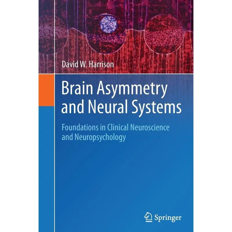 Brain Asymmetry and Neural Systems
