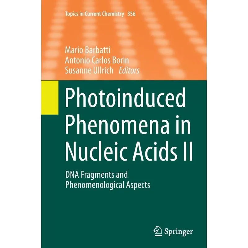 Photoinduced Phenomena in Nucleic Acids II