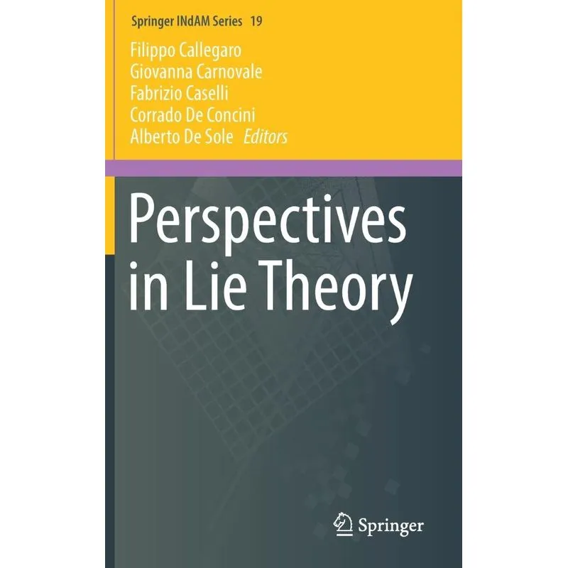 Perspectives in Lie Theory