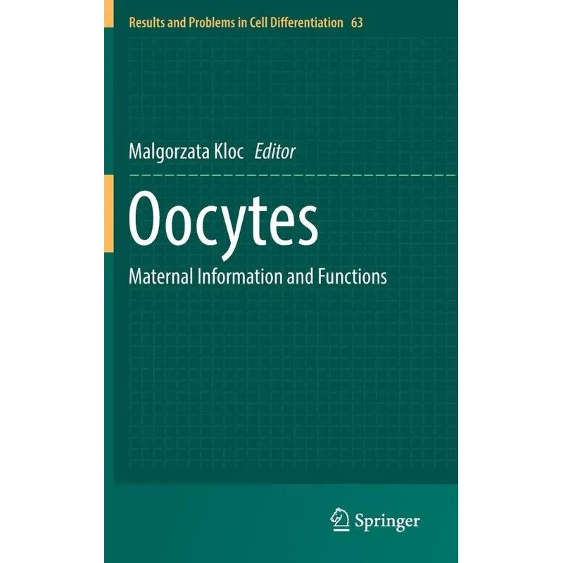 Oocytes