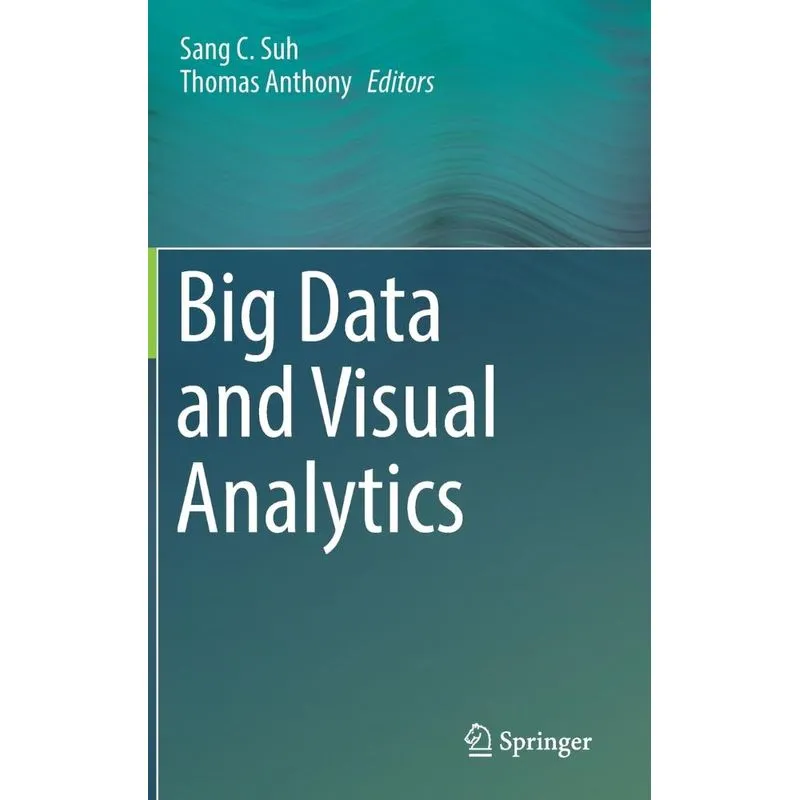 Big Data and Visual Analytics