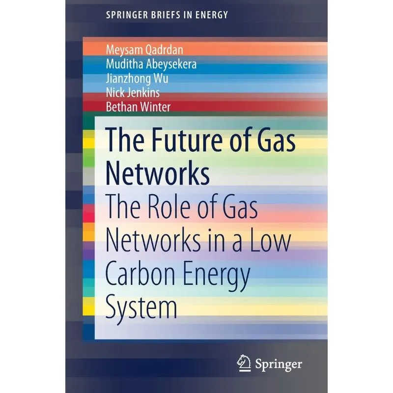 The Future of Gas Networks