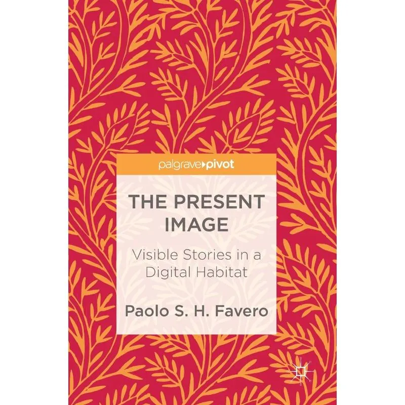 The Present Image