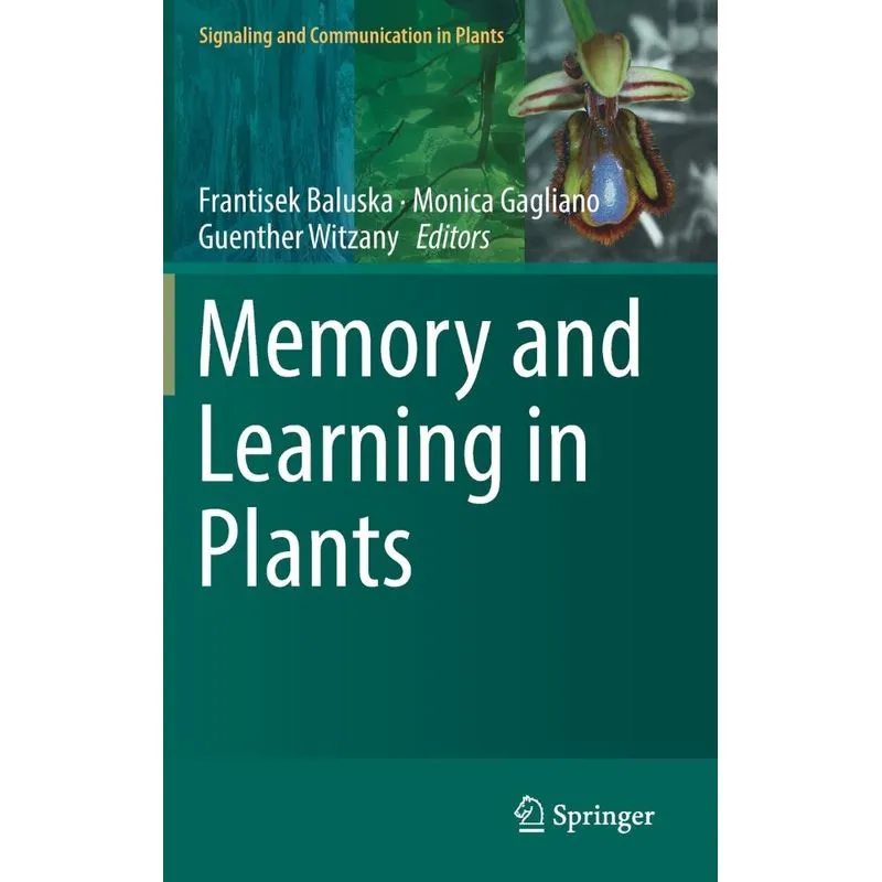 Memory and Learning in Plants