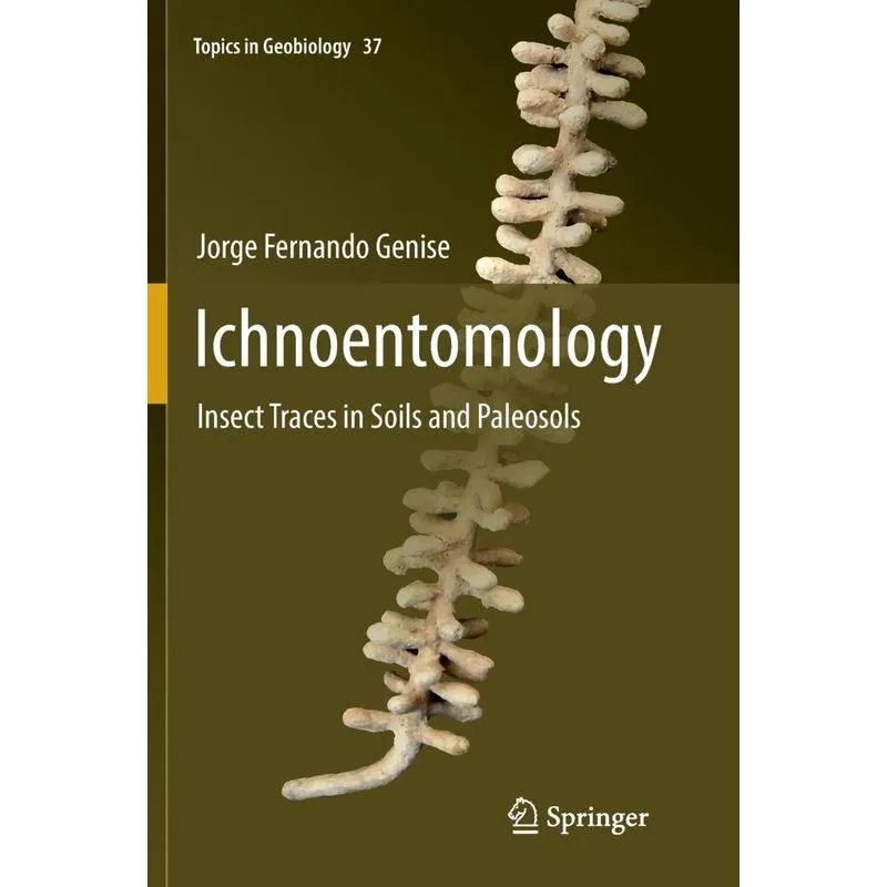 Ichnoentomology