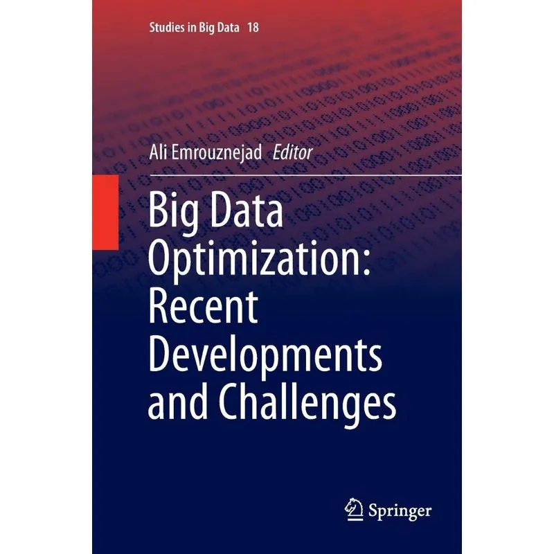 Big Data Optimization