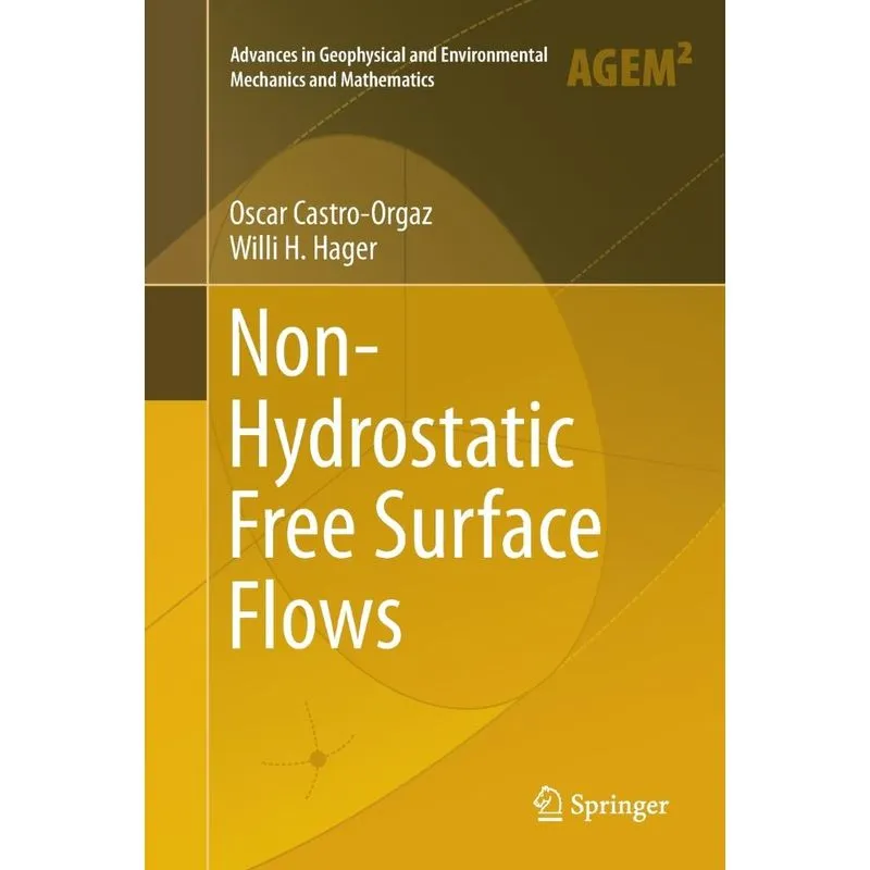 Non-Hydrostatic Free Surface Flows