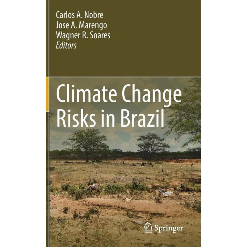 Climate Change Risks in Brazil
