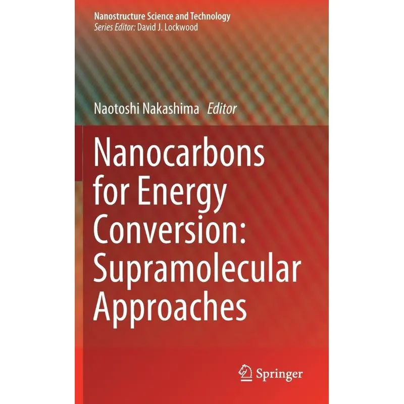 Nanocarbons for Energy Conversion