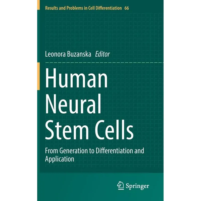 Human Neural Stem Cells