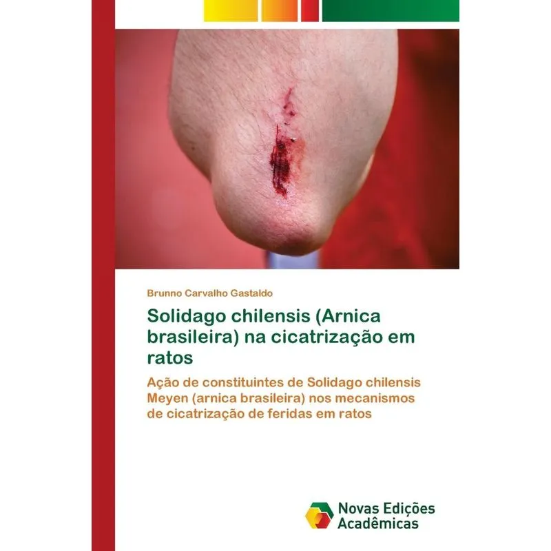 Solidago chilensis (Arnica brasileira) na cicatrização em r