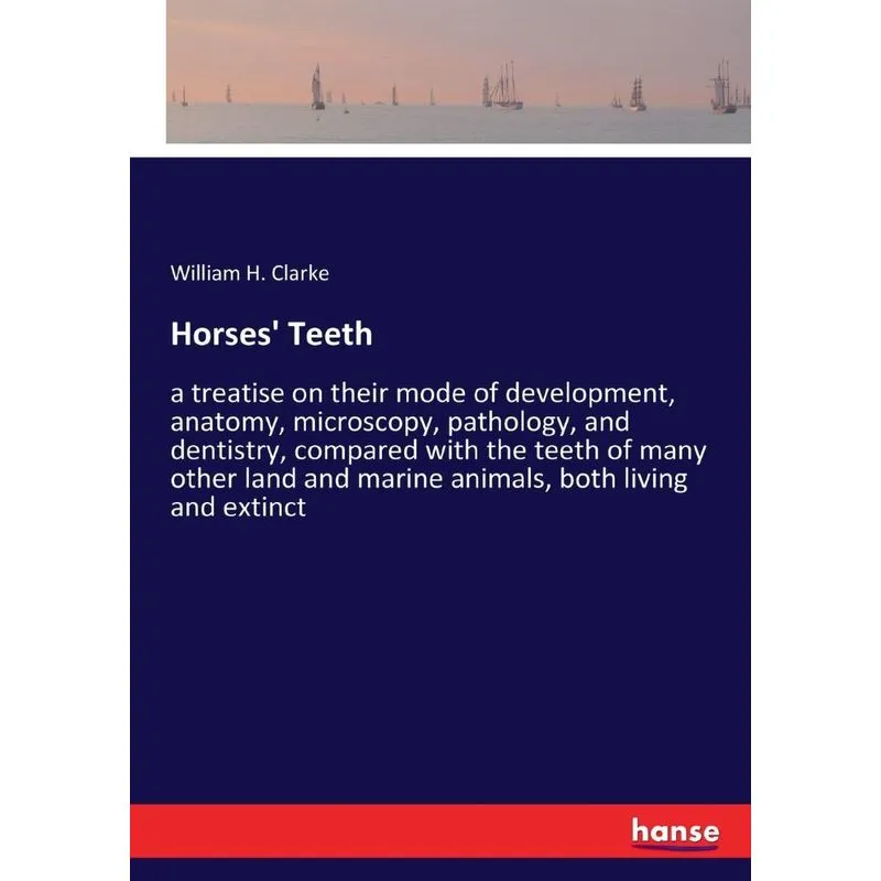 Horses Teeth