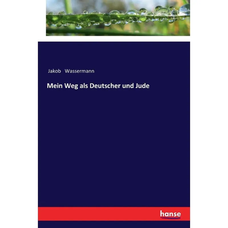 Mein Weg als Deutscher und Jude