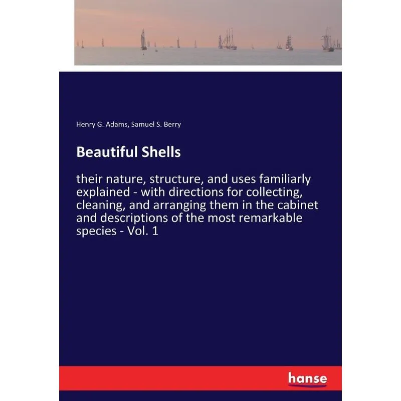 Beautiful Shells