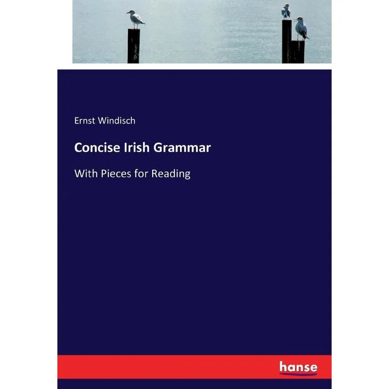 Concise Irish Grammar