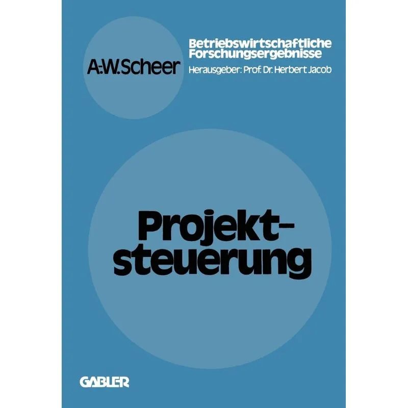 Projektsteuerung