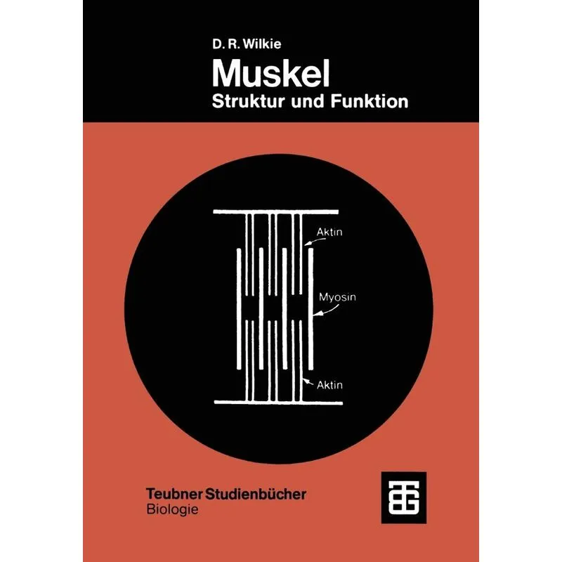 Muskel